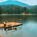 Weekend Warrior’s Itinerary: East Coast Forest and Lake Camping Escapes