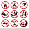 Backcountry Safety: Navigating the Wild While Survivalist Camping
