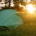 Low-Impact Campsite Setup: Leave No Trace Principles in Action