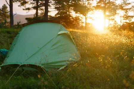 Low-Impact Campsite Setup: Leave No Trace Principles in Action
